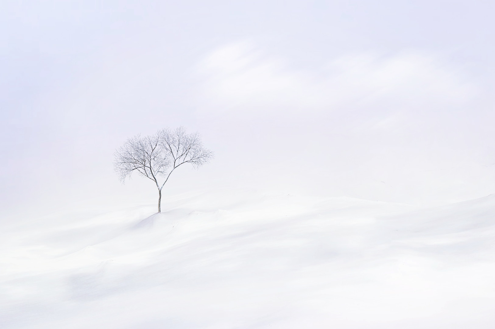 Minimal Landscape