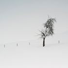 Minimal Winter