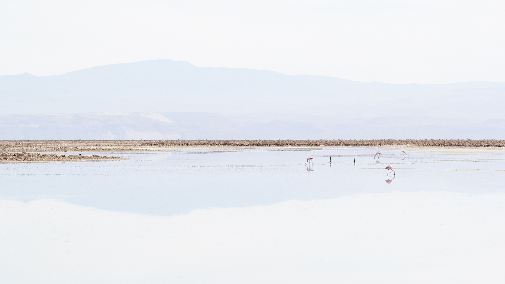 Minimalism in nature