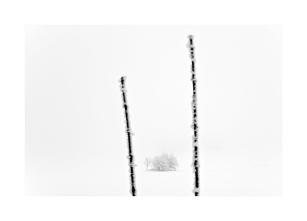 | Minimalismus des Winters |