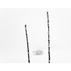 | Minimalismus des Winters |