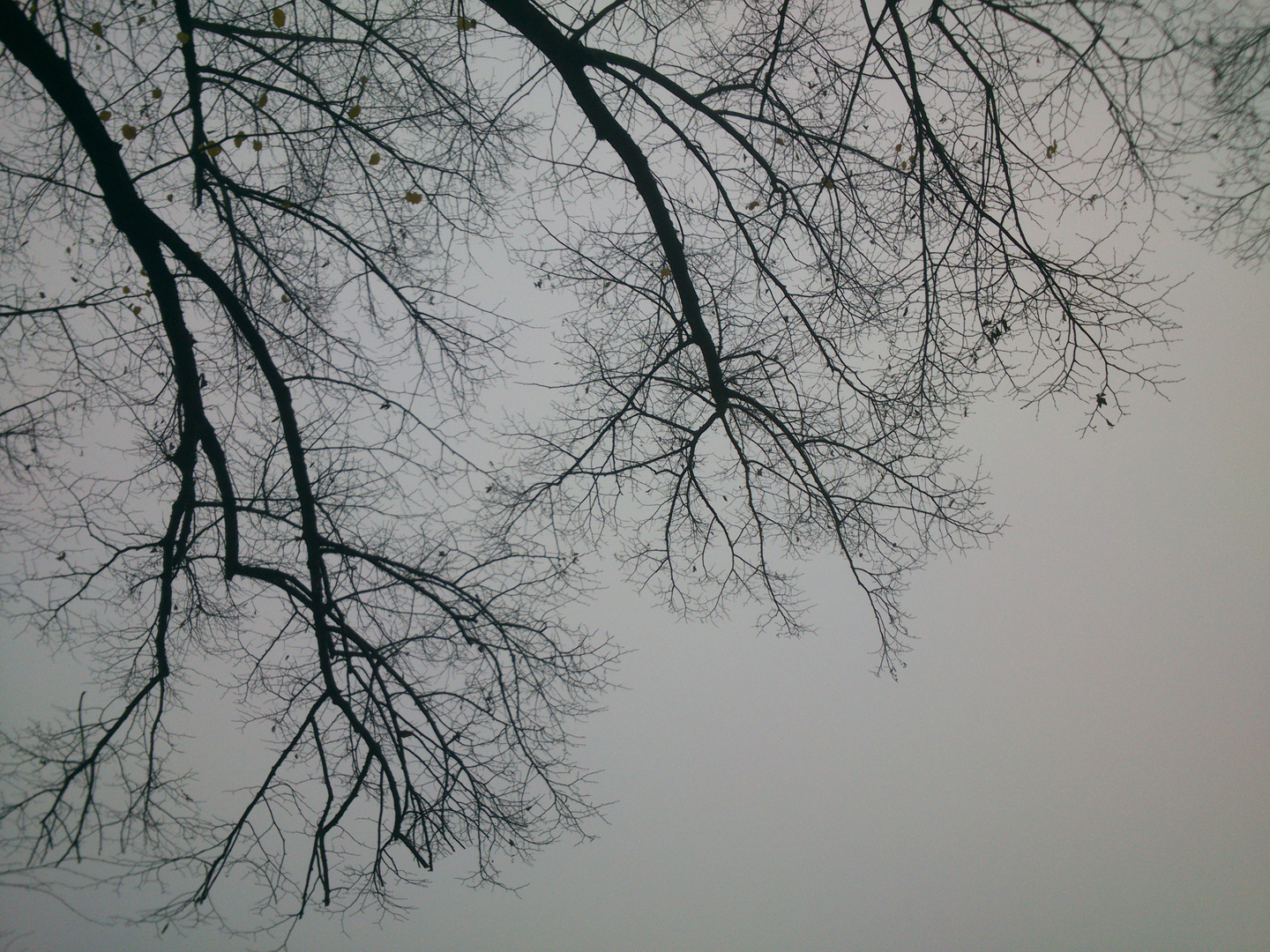 Minimalismus im Nebel