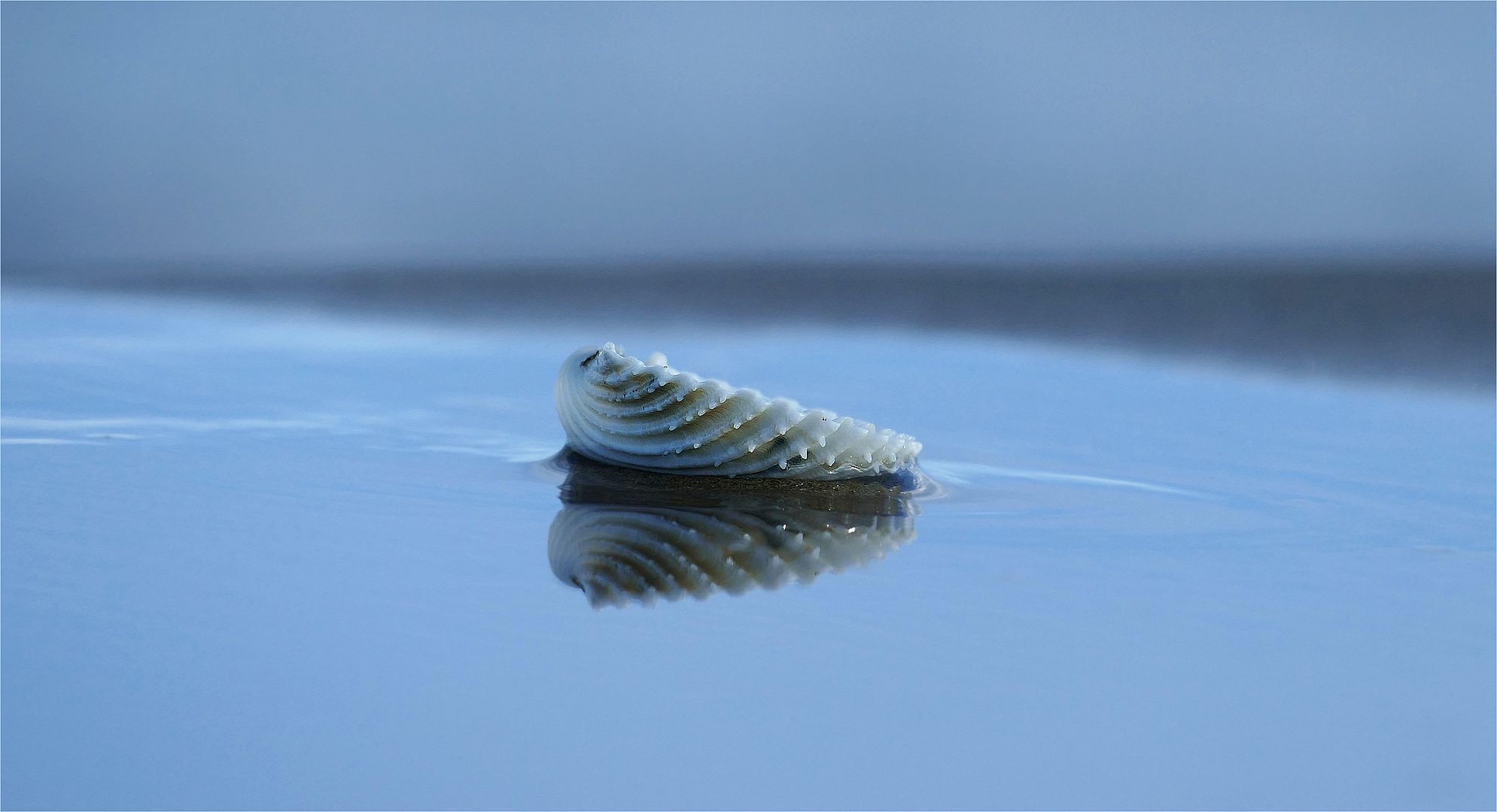 Minimalismus in Blau