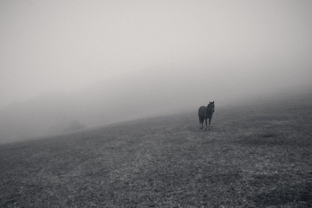 Minimalismus in Nebel 