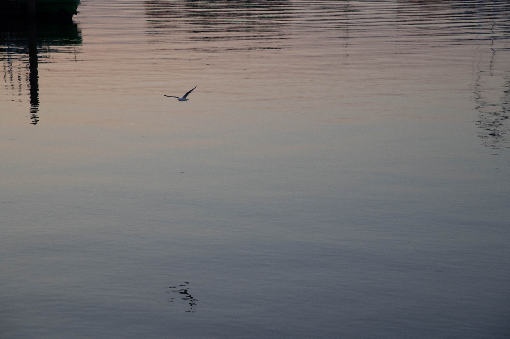 Minimalismus mit der Möwe