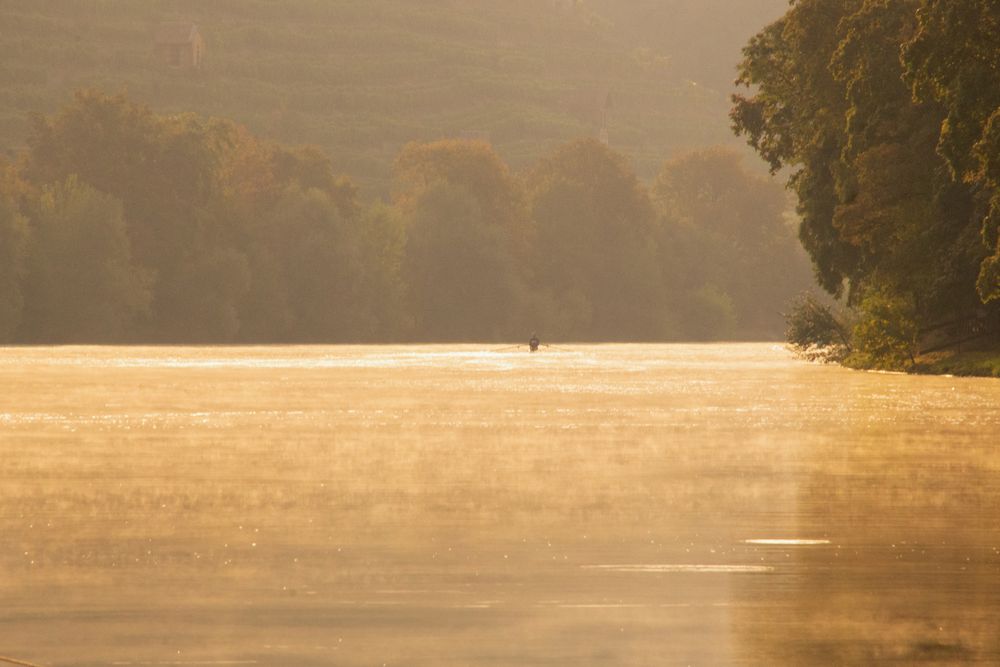  Minimalismus / Ruderer - Dronda am Neckarschtrand