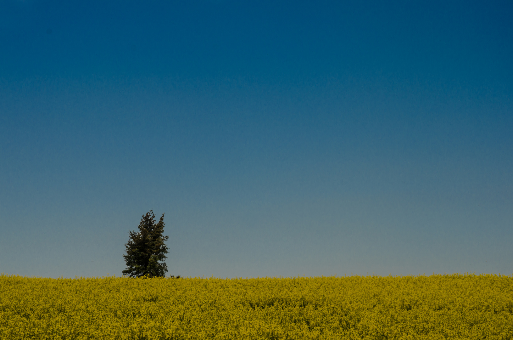 Minimalistisch Gedacht