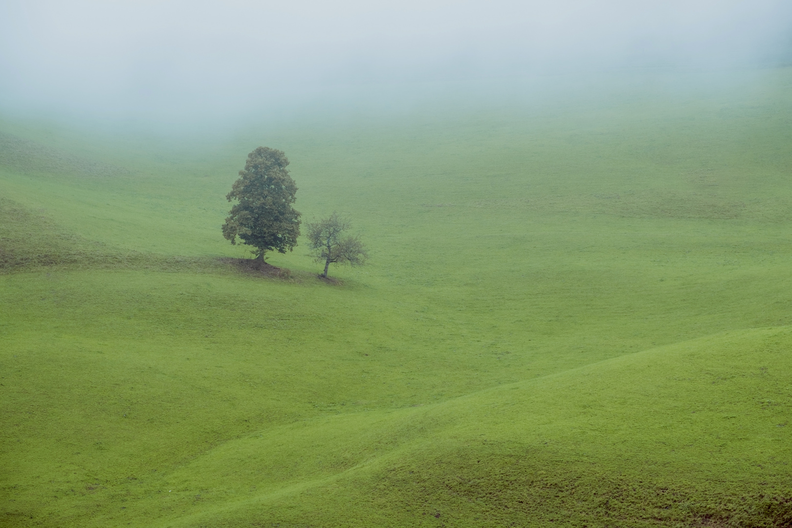 Minimalistische Landschaft