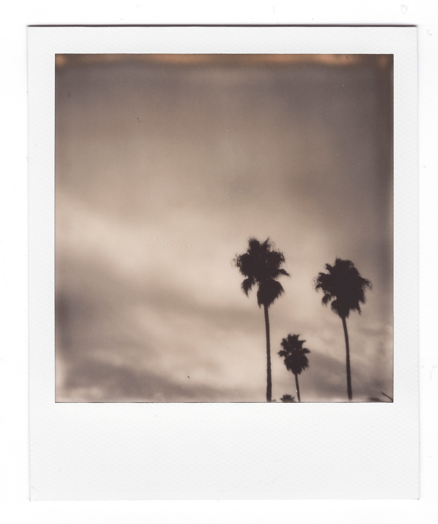 Minimalistisches Polaroid