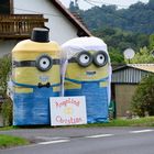 Minion Hochzeit