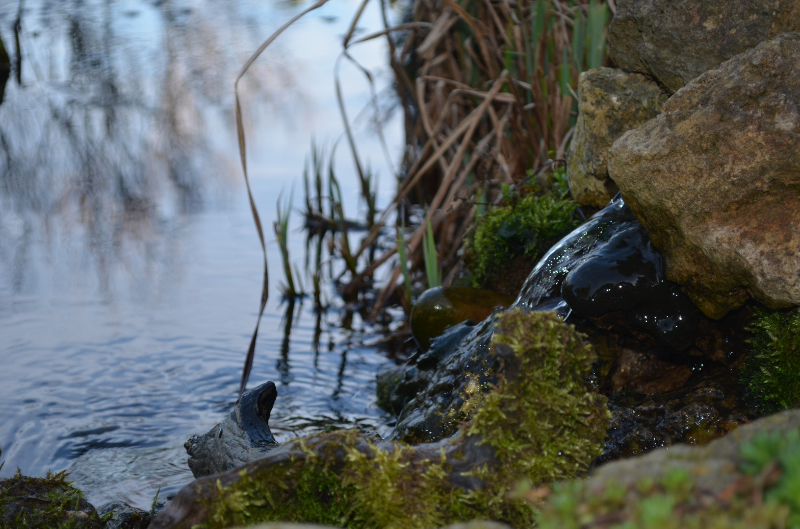 Miniwasserfall