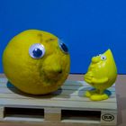 Miniwelt:  Zitronenproblem