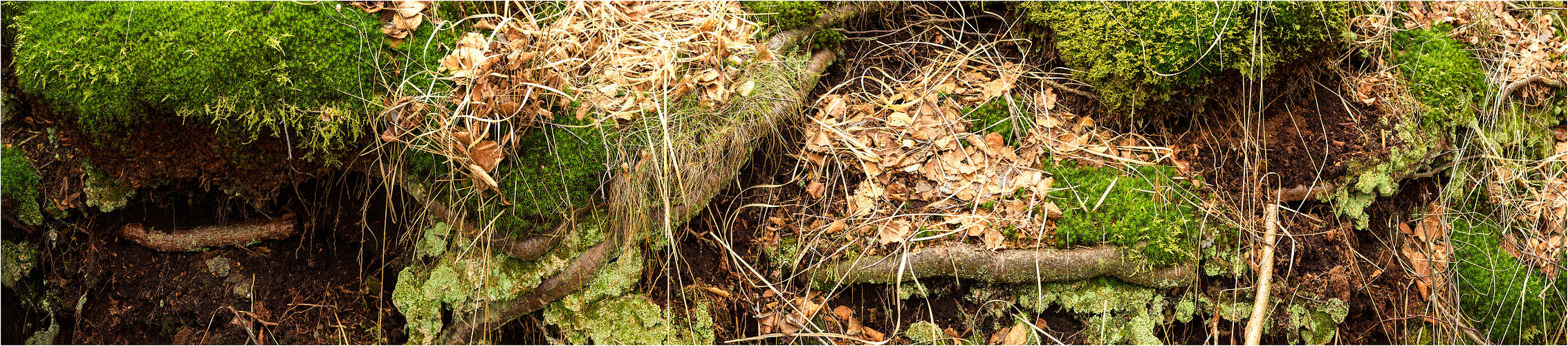 Miniwelten Panorama