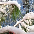 Miniwinter auf dem Balkon