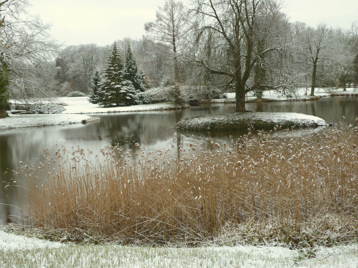 Miniwinter im Park Wiesenburg