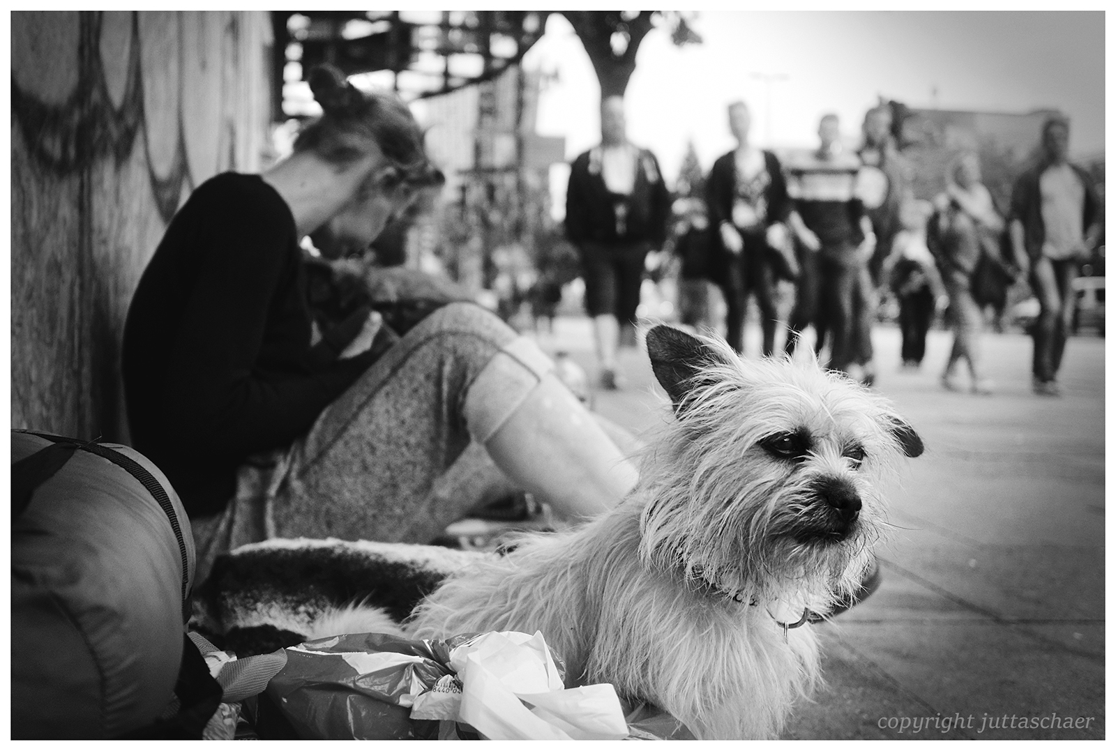 Minka auf der Reeperbahn