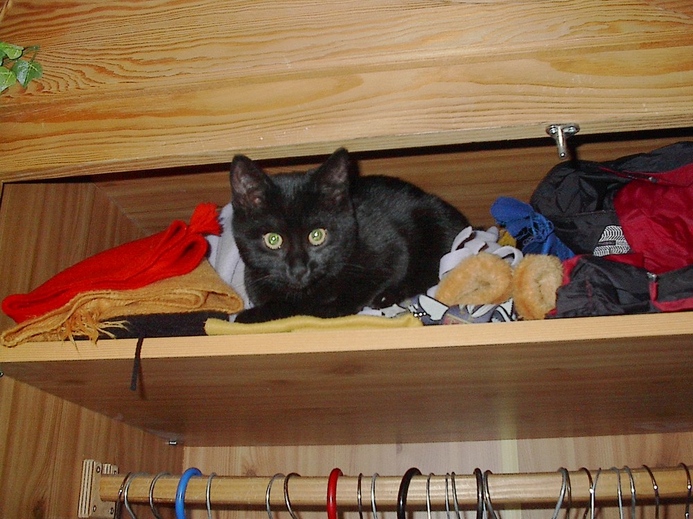 Minka im Schrank