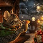 Minka und Miro - ein Weihnachtsmärchen