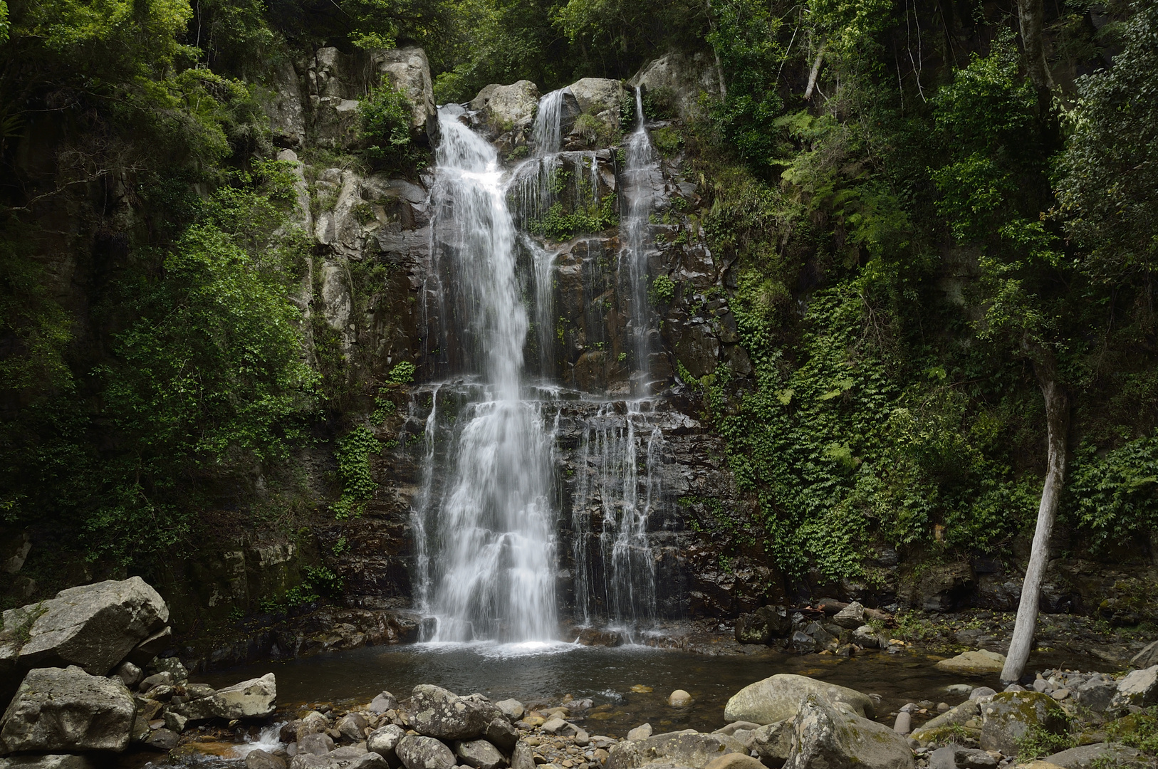 Minnamurra Waterfall