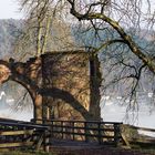 Minneburg - hoch überm Neckartal