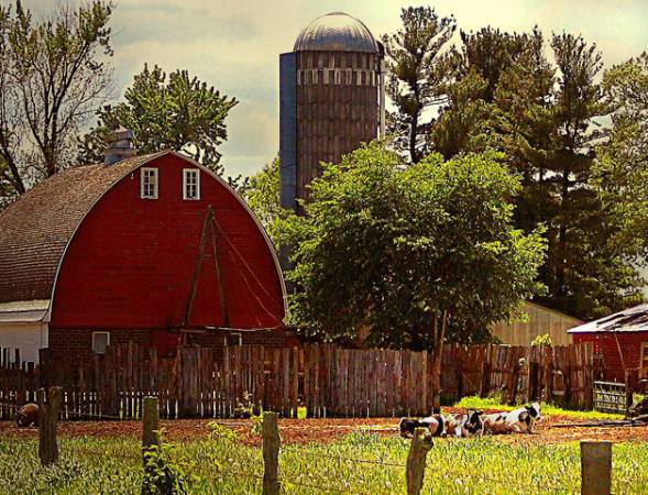 Minnesota Farm Country