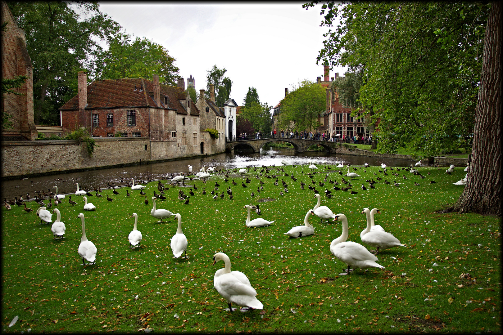 Minnewaterpark in Brügge