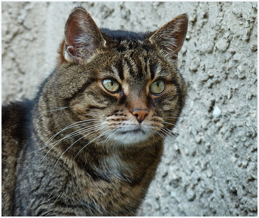 Minnie - 17 Jahre