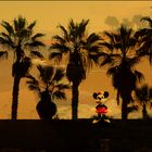 Minnie in Afrika !