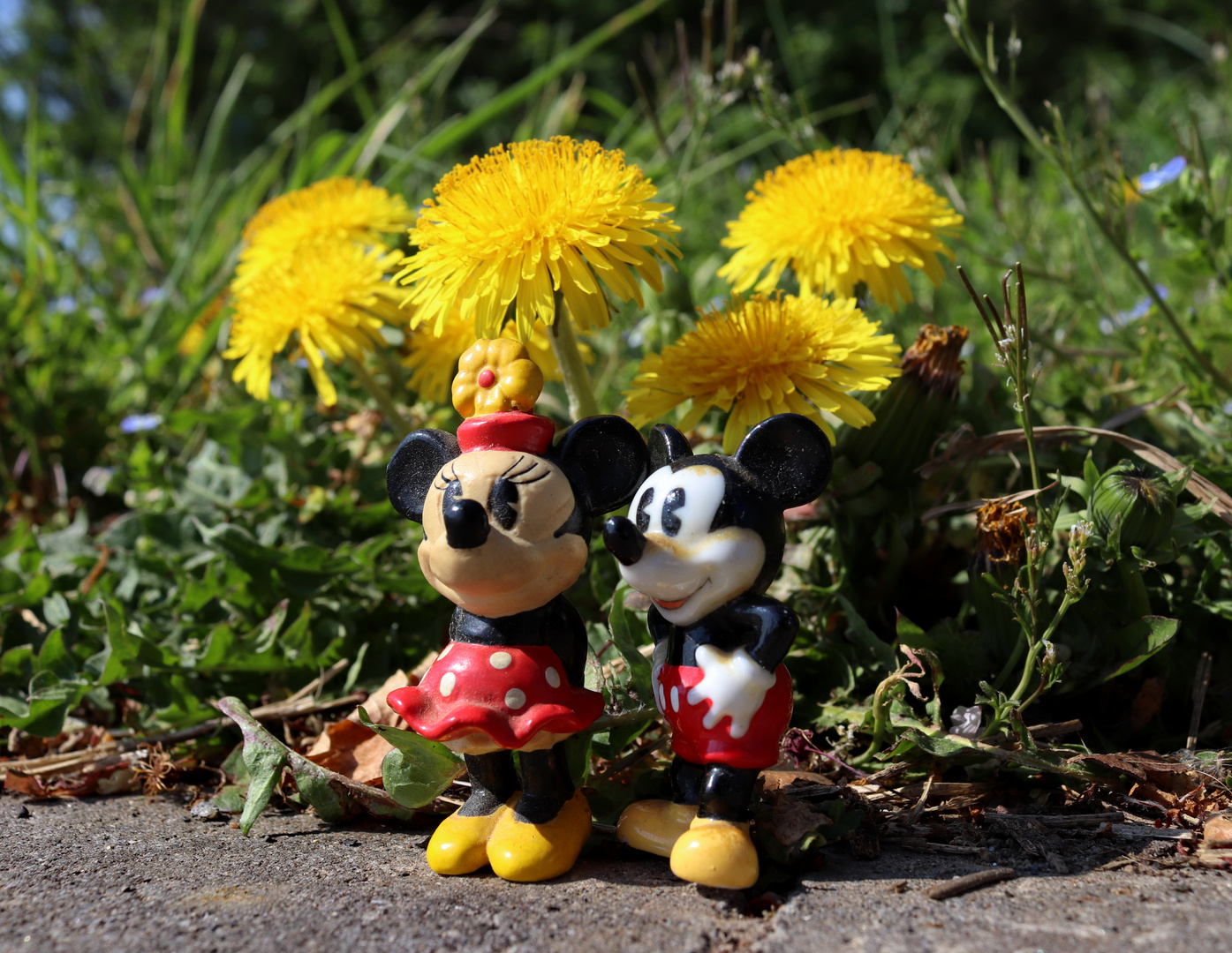 Minnie & Mickey