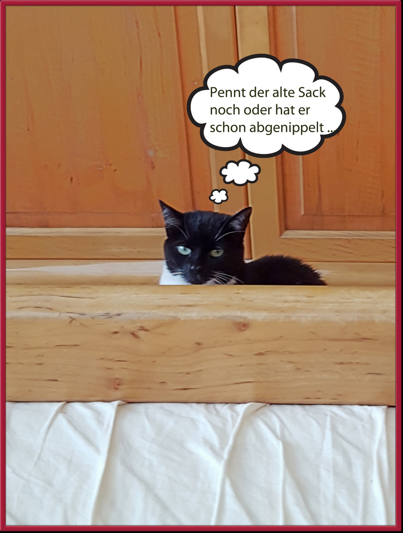 Minnie_0058_pennt der alte Sack noch