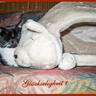 Minnie_0065_Glückseligkeit 1