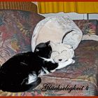 Minnie_0068_Glückseligkeit 4