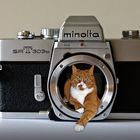 Minolta-Bobby