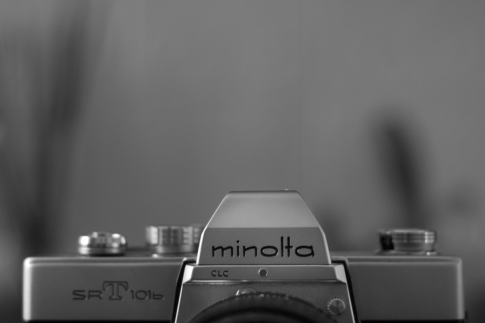 minolta