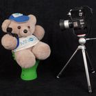 Minolta-Teddy mit Minolta 110-Zoom SLR 