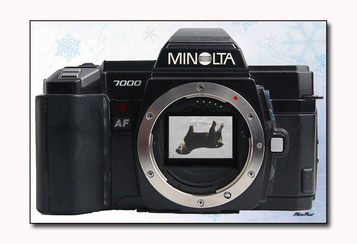 MINOLTA - VS - CITA