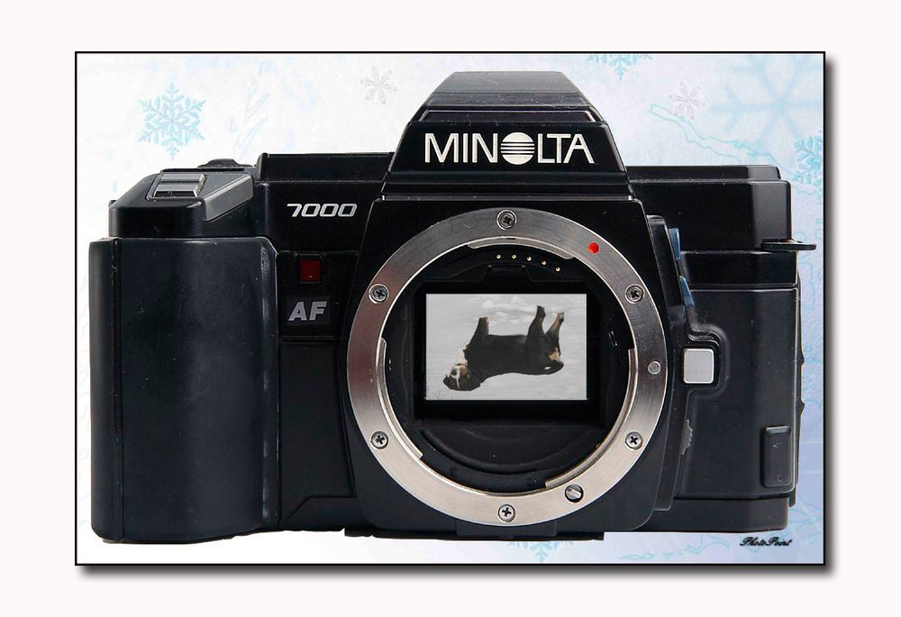 MINOLTA - VS - CITA