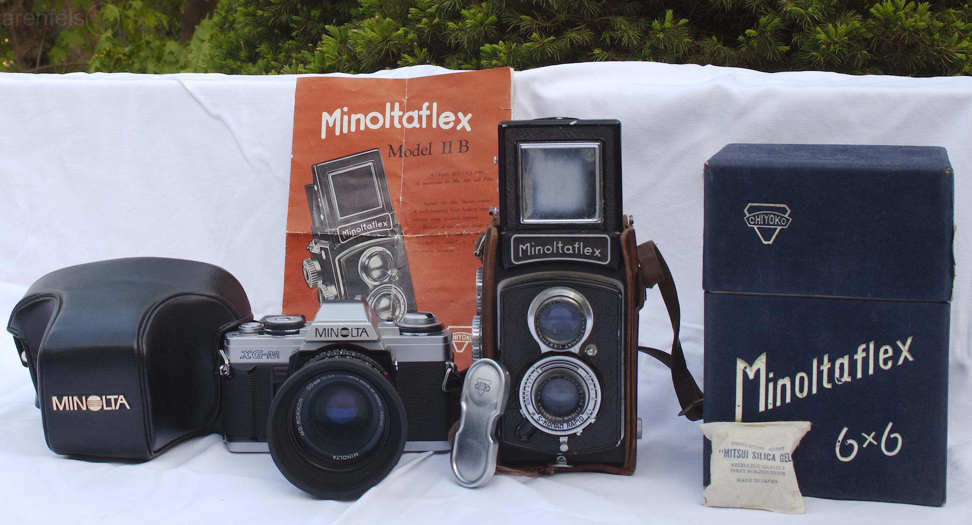 Minolta XG-M und Minoltaflex 6x6 II B #0053