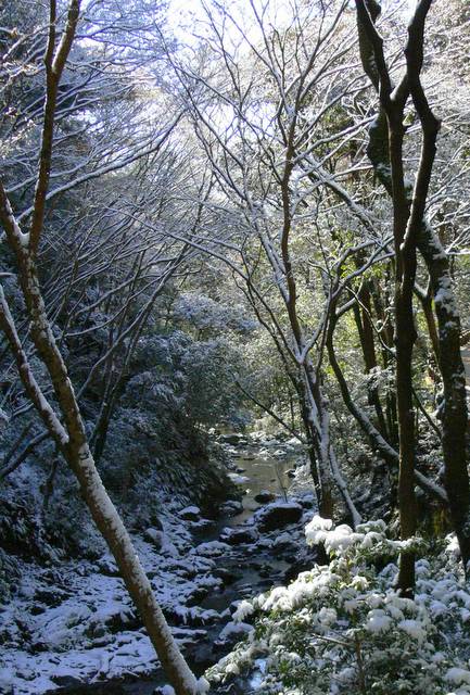 Minoo Forest Park