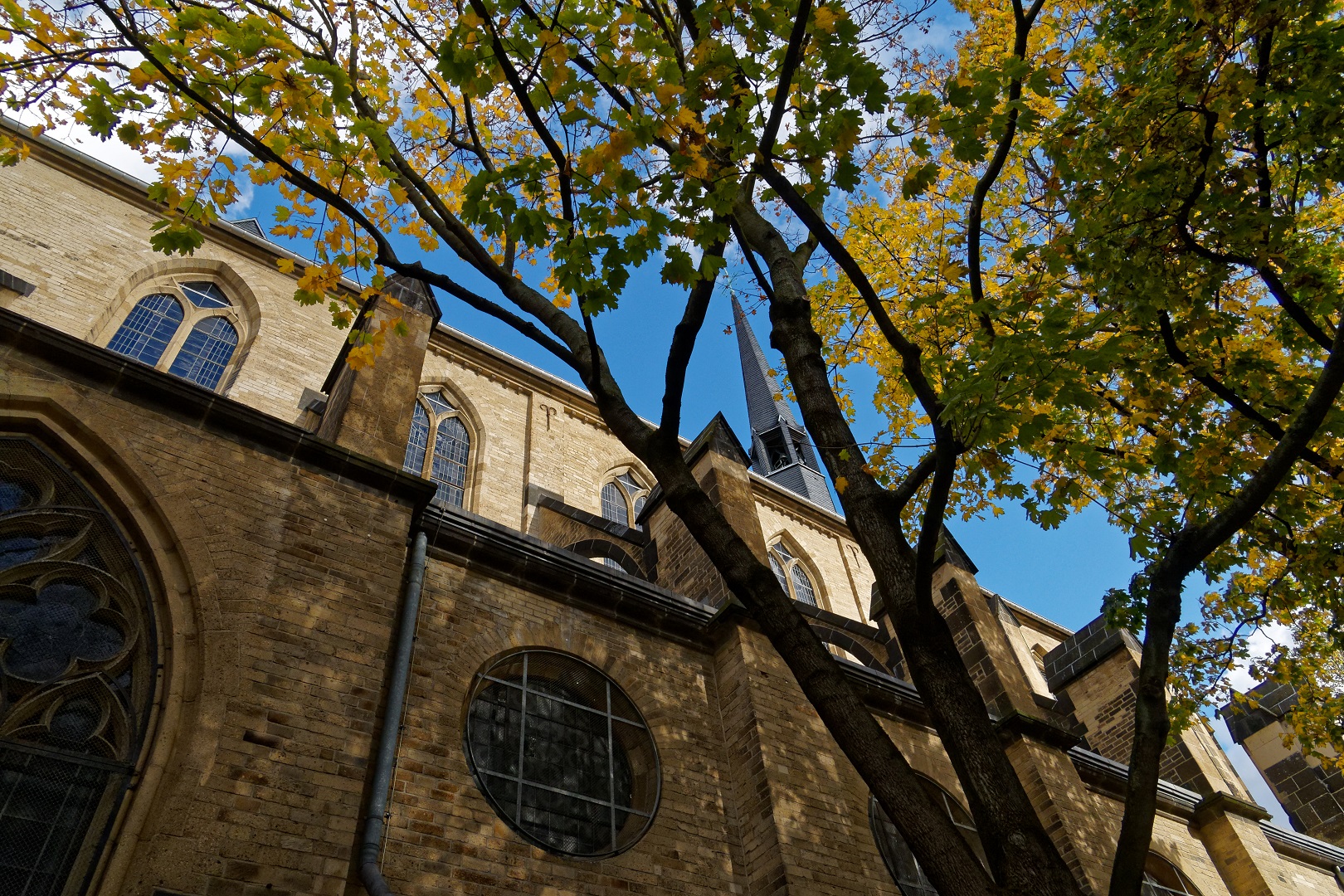 Minoritenkirche Köln im Herbst