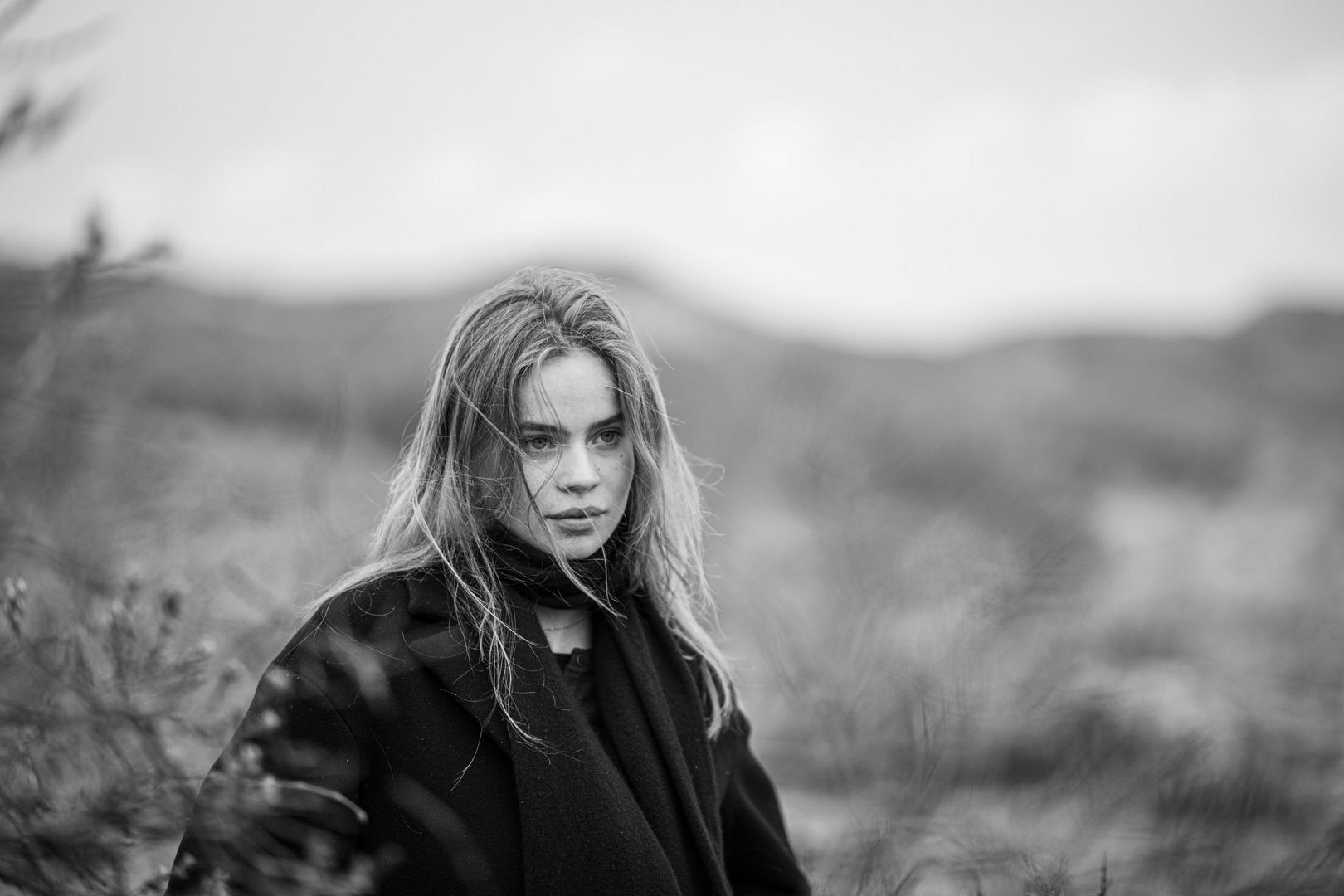 Minou IV Foto & Bild deutschland, europe, niedersachsen Bilder auf