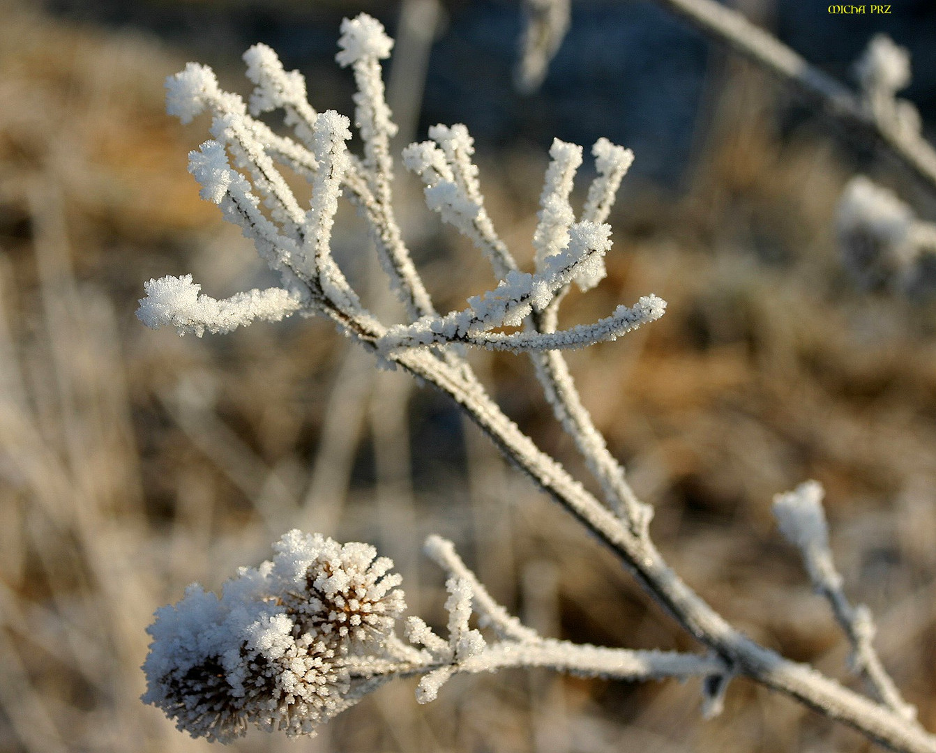 Minus 10 Grad in der Nacht