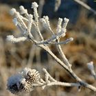 Minus 10 Grad in der Nacht