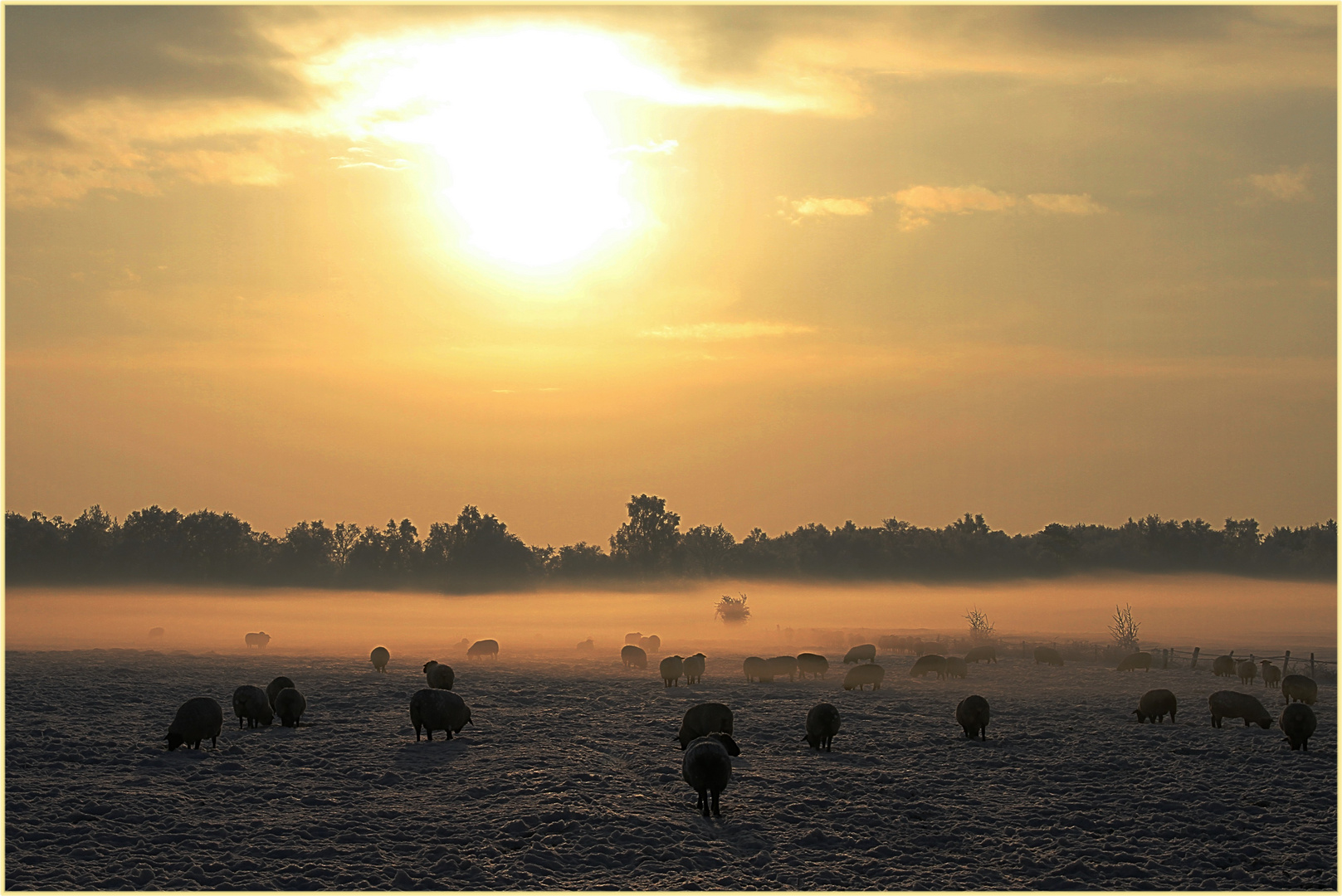 Minus 10 Grad um10 Uhr im Moor