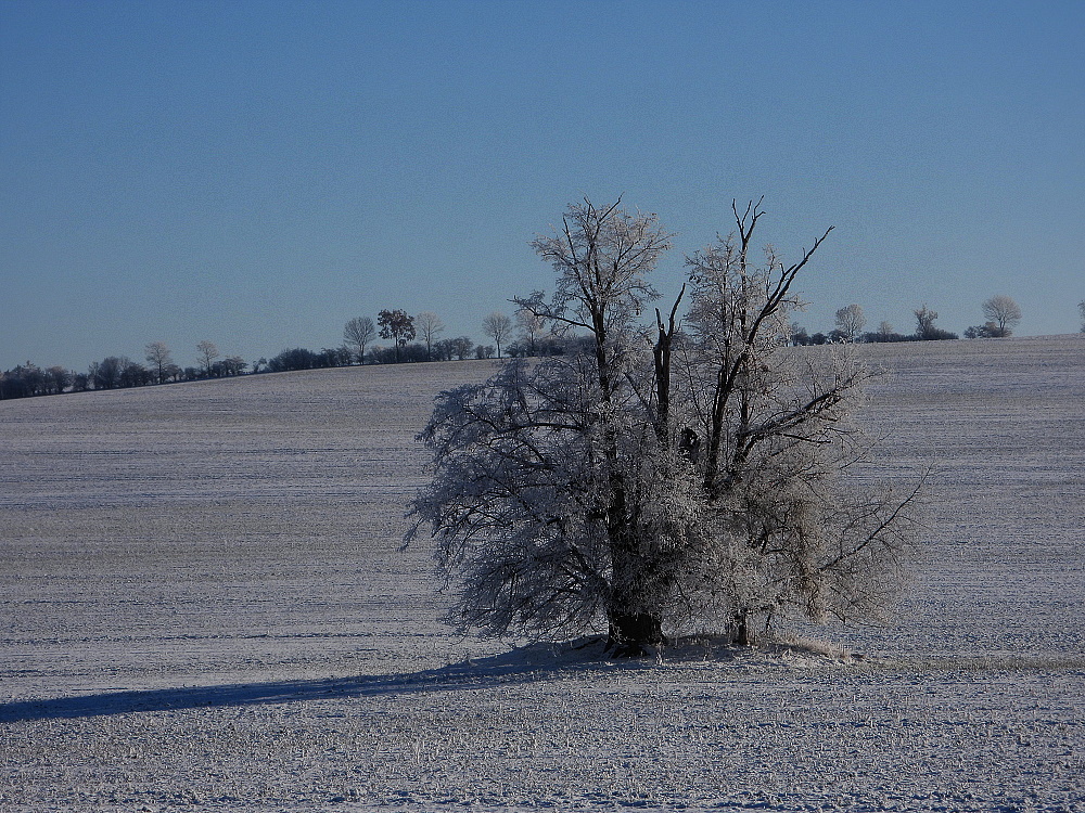 Minus 16 Grad