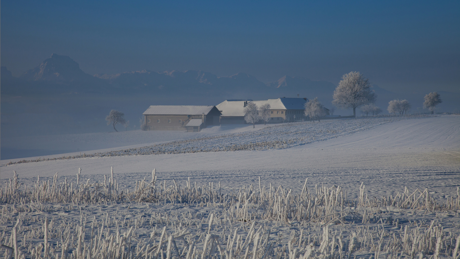 Minus fünfzehn Grad in Oberösterreich