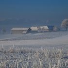 Minus fünfzehn Grad in Oberösterreich