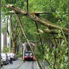 Minuten nach dem Sturm