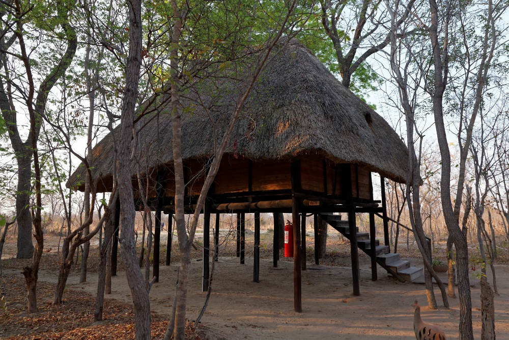 Miombo Safari Lodge