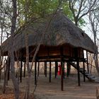 Miombo Safari Lodge